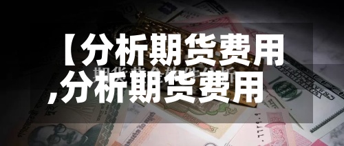 【分析期货费用
,分析期货费用
的软件】
