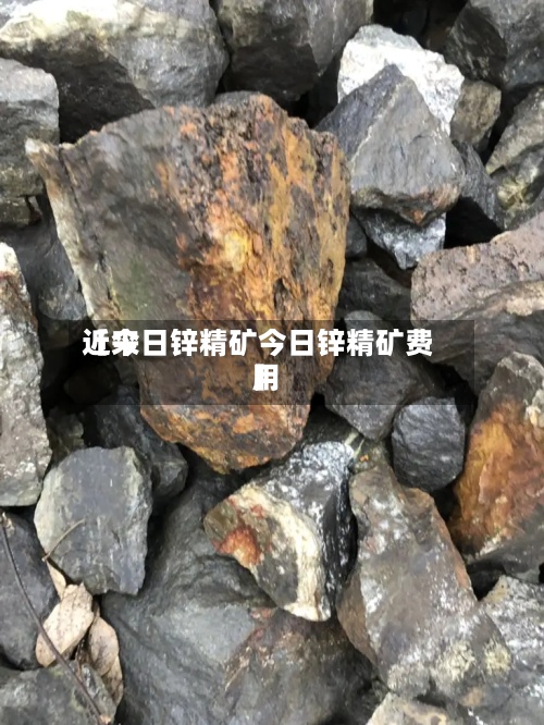 近来
【今日锌精矿今日锌精矿费用
】-第3张图片