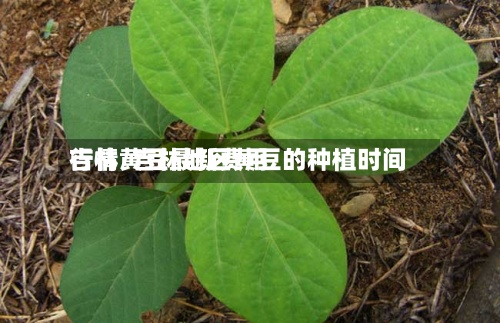 吉林黄豆最新费用
行情/吉林地区黄豆的种植时间-第3张图片