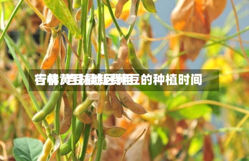 吉林黄豆最新费用
行情/吉林地区黄豆的种植时间-第2张图片
