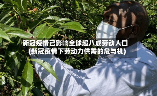 新冠疫情已影响全球超八成劳动人口(新冠疫情下劳动力供需的危与机)-第3张图片