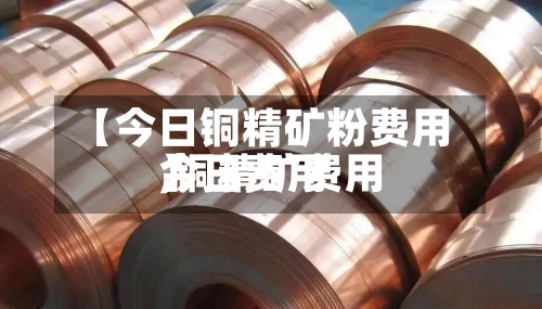 【今日铜精矿粉费用
,铜精矿费用
今日费用
】-第2张图片