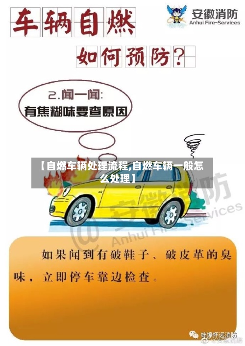 【自燃车辆处理流程,自燃车辆一般怎么处理】-第2张图片
