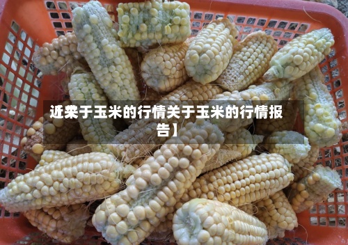 近来
【关于玉米的行情关于玉米的行情报告】
