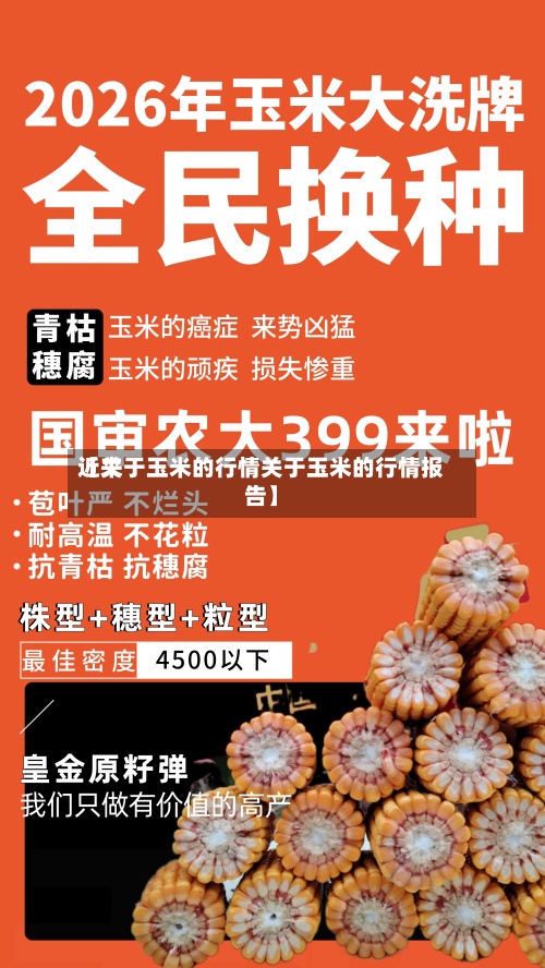 近来
【关于玉米的行情关于玉米的行情报告】-第2张图片
