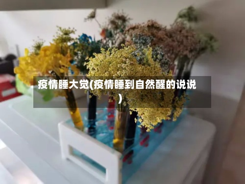 疫情睡大觉(疫情睡到自然醒的说说)-第2张图片