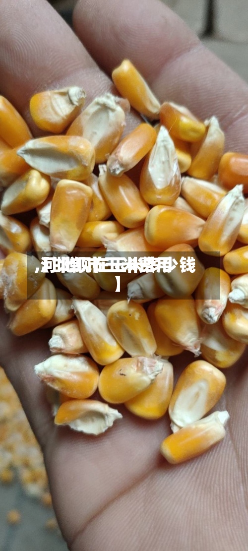 【邯郸市玉米费用
,河北现在玉米多少钱】