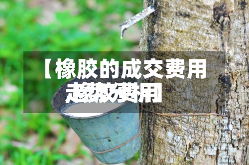【橡胶的成交费用
,橡胶费用
走势分析】-第2张图片