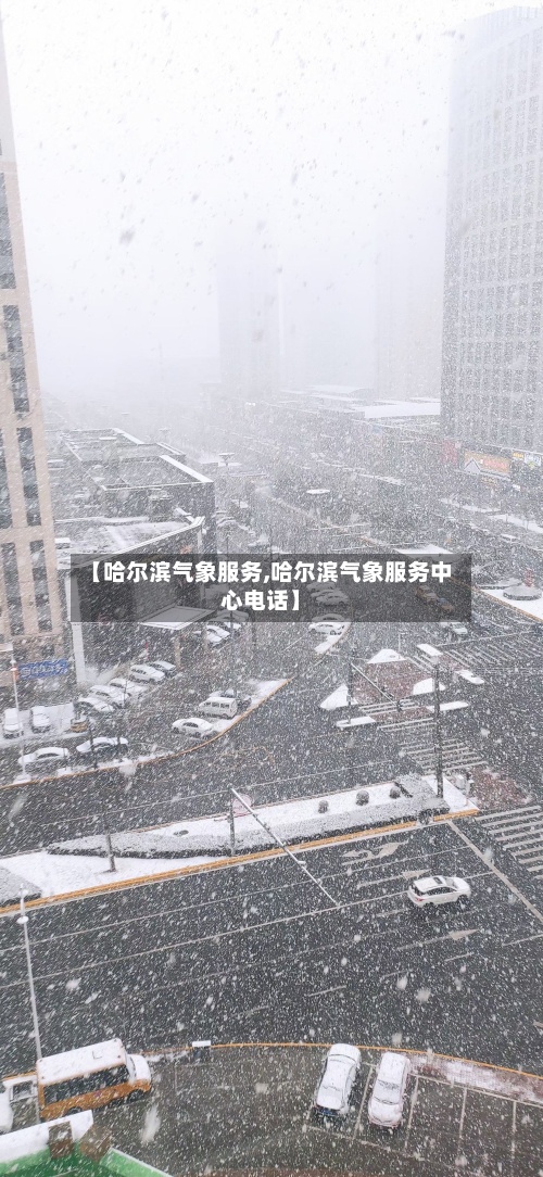 【哈尔滨气象服务,哈尔滨气象服务中心电话】-第2张图片