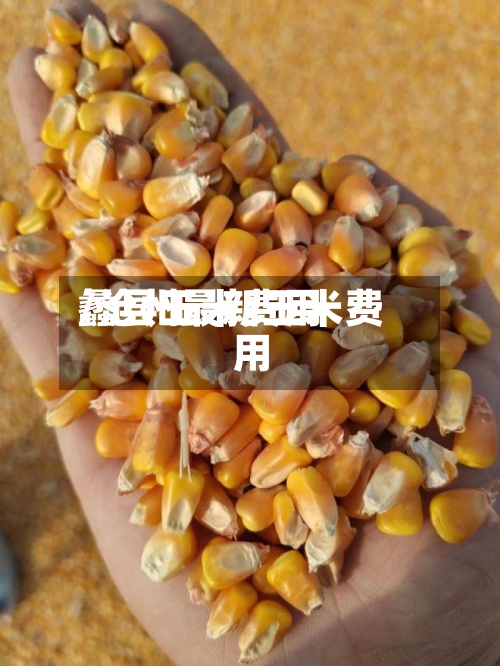 蠡县玉米费用/沧州最新玉米费用