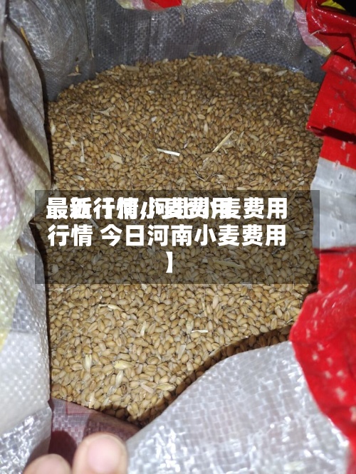 最近【河小麦费用
最新行情,河北小麦费用
行情 今日河南小麦费用
】