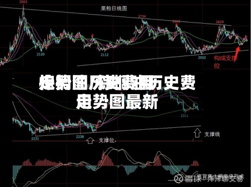 棕榈油历史费用
走势图/棕榈油历史费用
走势图最新-第2张图片