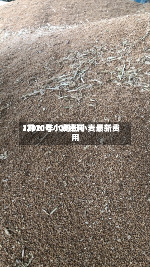 1月10号小麦费用
/2021年10月份小麦最新费用