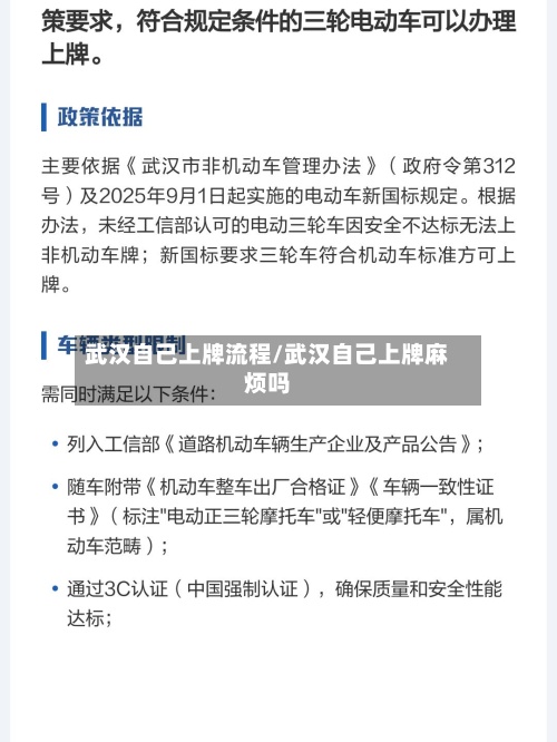 武汉自己上牌流程/武汉自己上牌麻烦吗-第2张图片