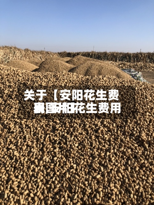 关于【安阳花生费用
表,安阳花生费用
表图片】
