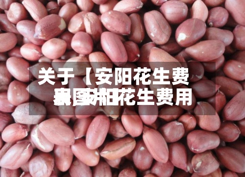 关于【安阳花生费用
表,安阳花生费用
表图片】-第2张图片
