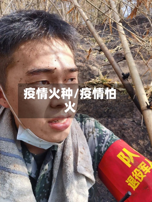 疫情火种/疫情怕火-第2张图片