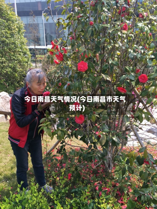 今日南昌天气情况(今日南昌市天气预计)-第3张图片