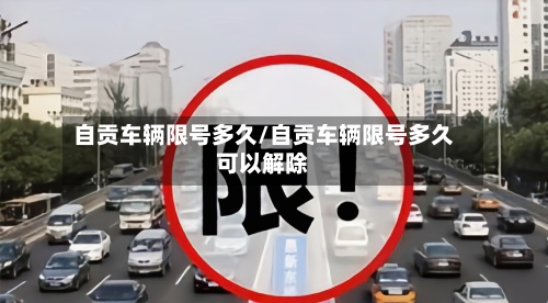 自贡车辆限号多久/自贡车辆限号多久可以解除-第3张图片