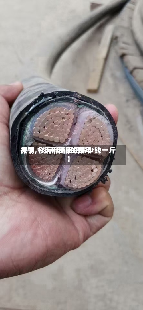 关于【济南废铜的费用
行情,今天济南废铜多少钱一斤】