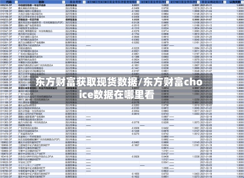 东方财富获取现货数据/东方财富choice数据在哪里看-第2张图片