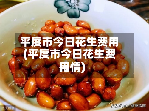 平度市今日花生费用
(平度市今日花生费用
行情)
