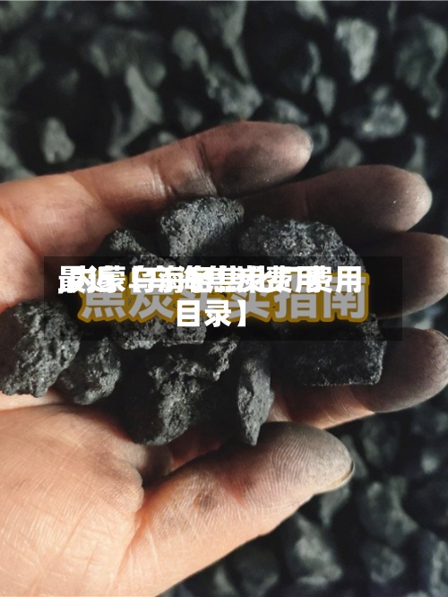 最近【乌海焦炭费用
,内蒙乌海各焦化厂费用
目录】-第3张图片