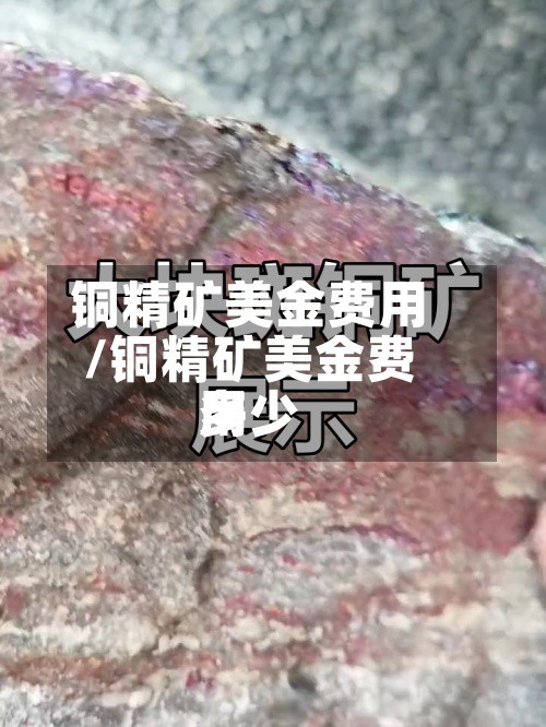 铜精矿美金费用
/铜精矿美金费用
多少-第2张图片