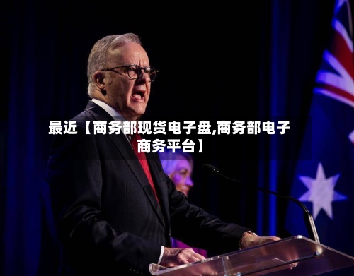 最近【商务部现货电子盘,商务部电子商务平台】-第2张图片