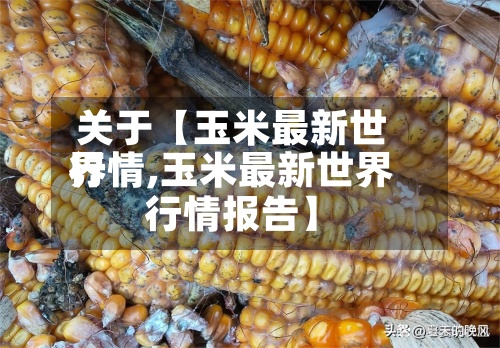 关于【玉米最新世界
行情,玉米最新世界
行情报告】