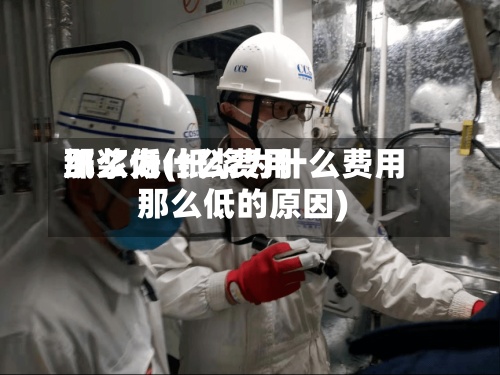 纸浆为什么费用
那么低(纸浆为什么费用
那么低的原因)
