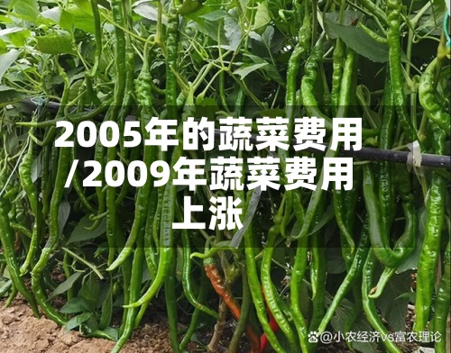 2005年的蔬菜费用/2009年蔬菜费用上涨