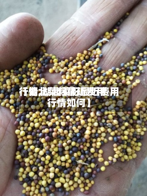 【湖北菜籽最近费用
行情,湖北菜籽最近费用
行情如何】