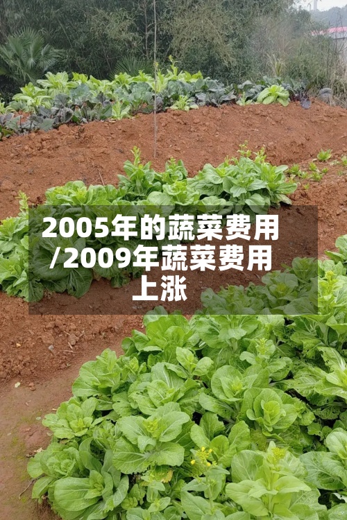 2005年的蔬菜费用
/2009年蔬菜费用
上涨-第2张图片