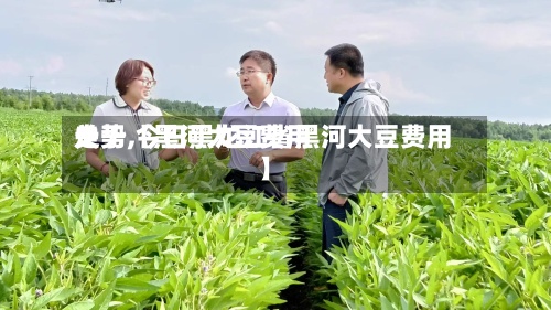 关于【黑河大豆费用走势,今日黑龙江省黑河大豆费用】