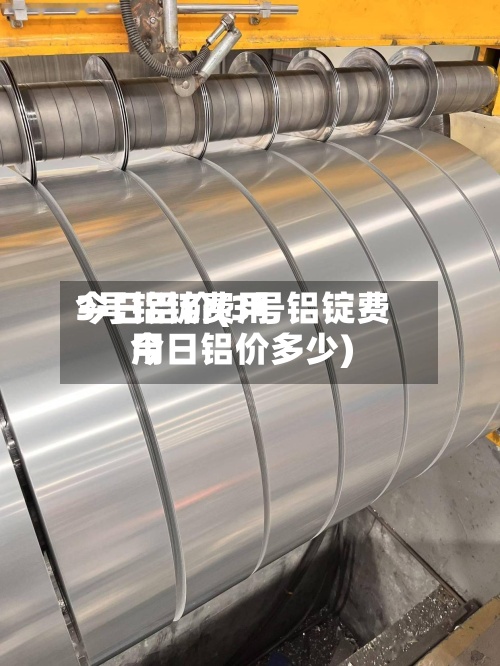 3号铝锭费用
今日铝价(3号铝锭费用
今日铝价多少)