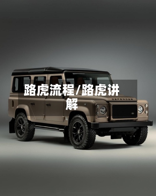 路虎流程/路虎讲解