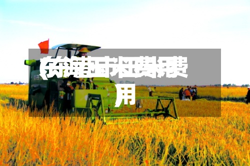 东海玉米费用
(东港市玉米费用
)