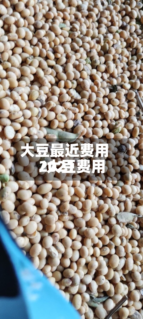 大豆最近费用
/大豆费用
2021-第2张图片