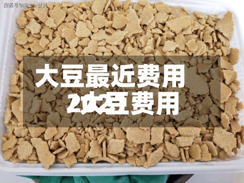 大豆最近费用
/大豆费用
2021