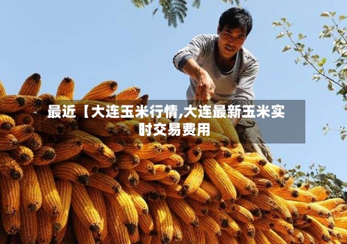 最近【大连玉米行情,大连最新玉米实时交易费用】-第2张图片