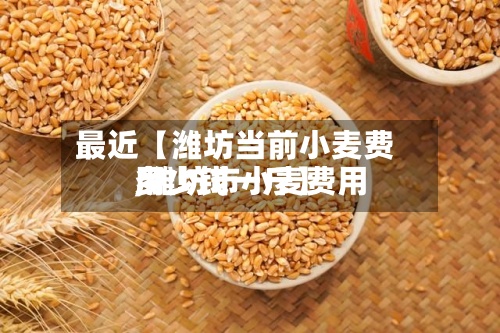 最近【潍坊当前小麦费用
,潍坊市小麦费用
多少钱一斤】