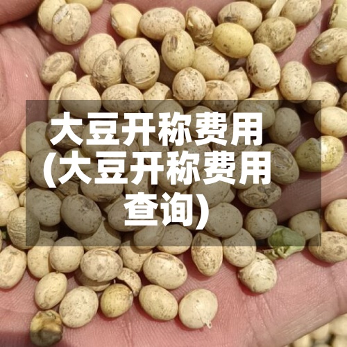 大豆开称费用
(大豆开称费用
查询)