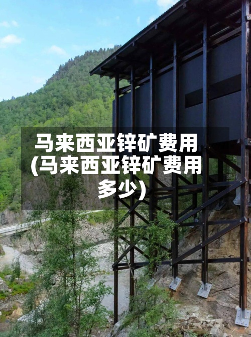 马来西亚锌矿费用
(马来西亚锌矿费用
多少)-第2张图片