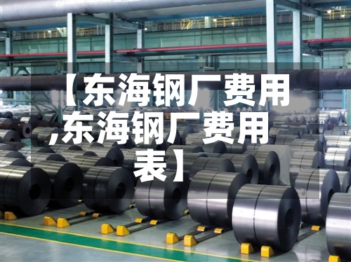 【东海钢厂费用
,东海钢厂费用
表】