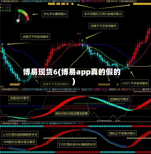 博易现货6(博易app真的假的)