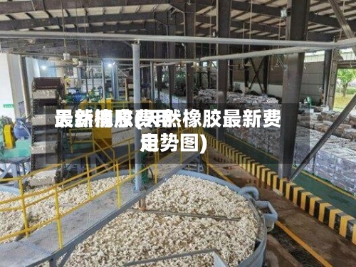 天然橡胶费用
最新消息(天然橡胶最新费用
走势图)-第2张图片