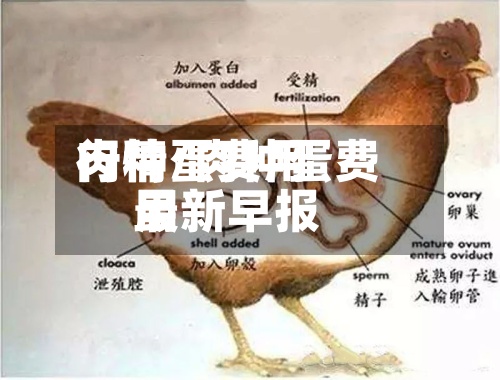 肉种蛋费用
行情/肉种蛋费用
最新早报-第2张图片