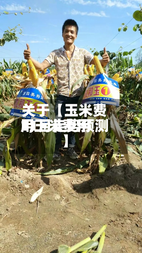 关于【玉米费用
1,玉米费用
11月走势预测】