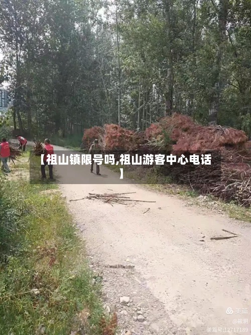 【祖山镇限号吗,祖山游客中心电话】-第3张图片
